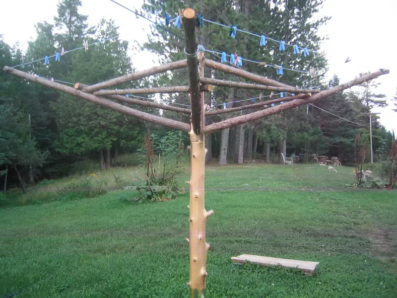 Clothes Line in August.jpg